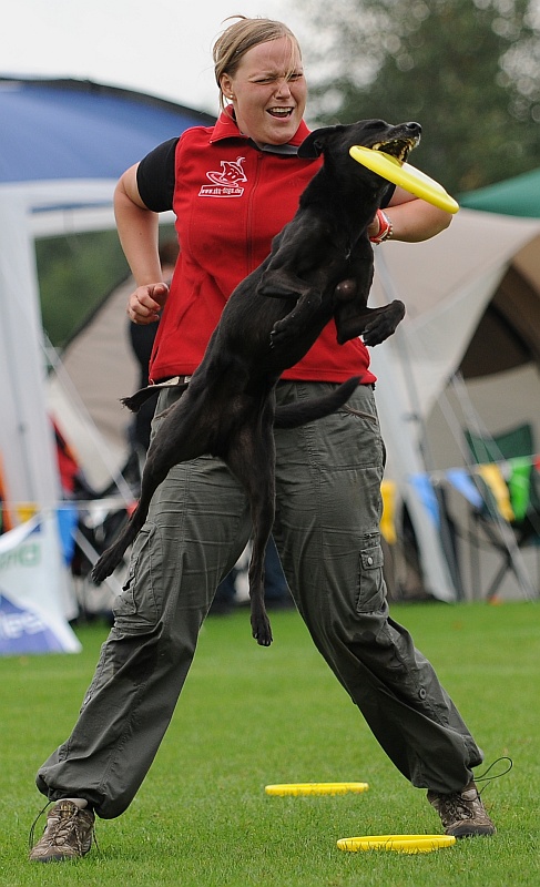 Image 310 of 484  -  215 kB