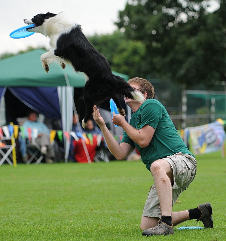 Image 316 of 484  -  281 kB