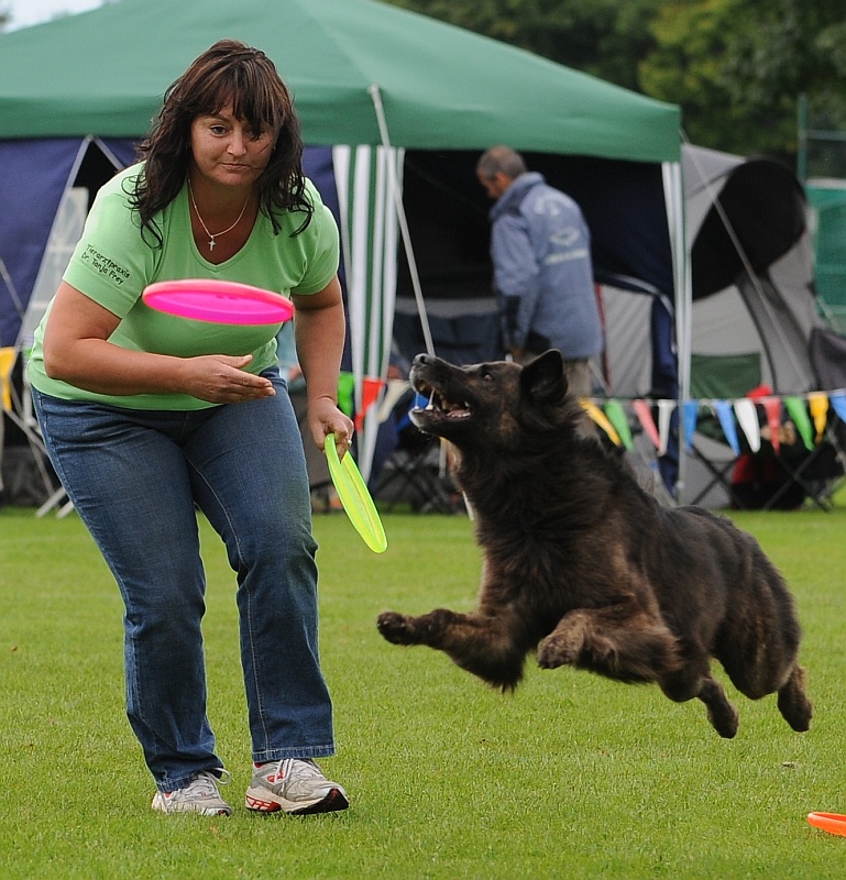Image 326 of 484  -  314 kB