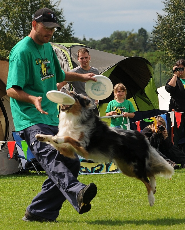 Image 333 of 484  -  308 kB