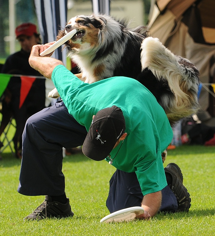 Image 334 of 484  -  307 kB