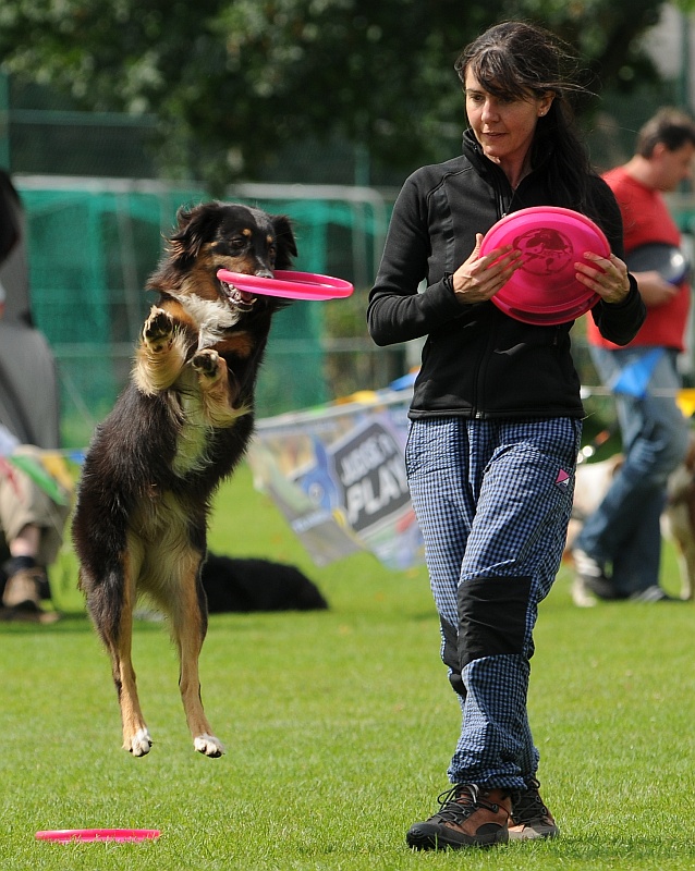 Image 344 of 484  -  277 kB