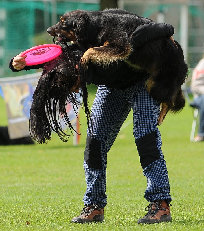 Image 346 of 484  -  312 kB