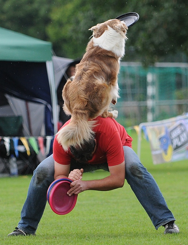 Image 376 of 484  -  272 kB