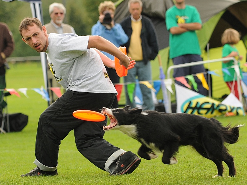 Image 386 of 484  -  251 kB