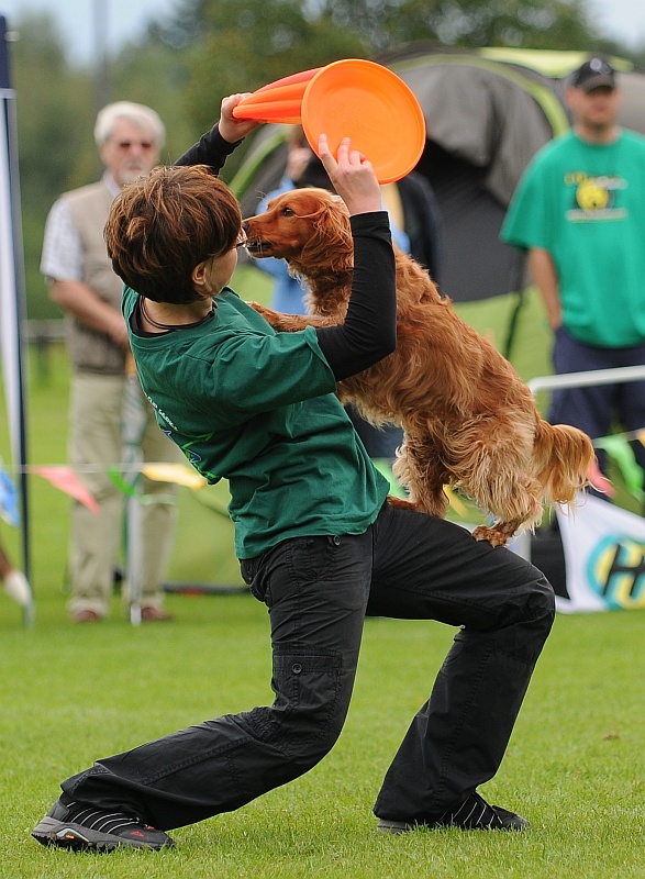 Image 411 of 484  -  254 kB