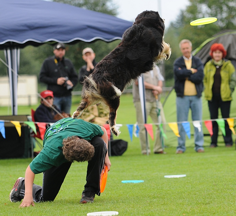 Image 431 of 484  -  290 kB