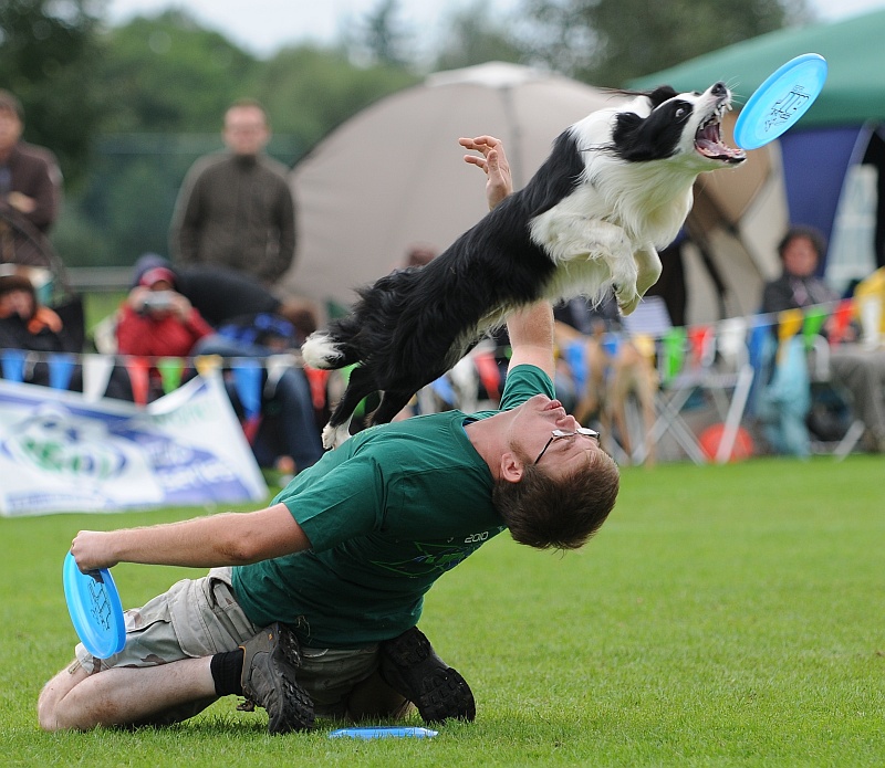 Image 441 of 484  -  268 kB
