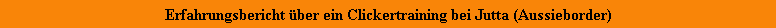 Erfahrungsbericht �ber ein Clickertraining bei Jutta (Aussieborder)