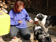 Hector und Ginger beim Anclickern