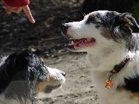 Der Finger der vom Himmel kommt