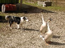 gleich hab ich sie wo sie sein sollen