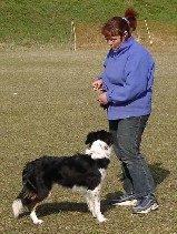 Und so geht das Clickern