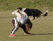 so nimmt man die Scheibe