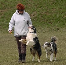 Hector finds ganz toll