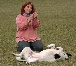 Jonka spielt toter Hund