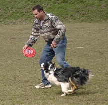 Hector nimmt die Beine in die Hand