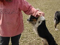 Ich sch�me mich so