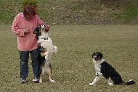 Hector wird zum Zweibeiner