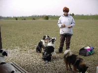 ein kleines P�uschen