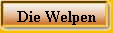 Die Welpen