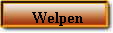 Welpen