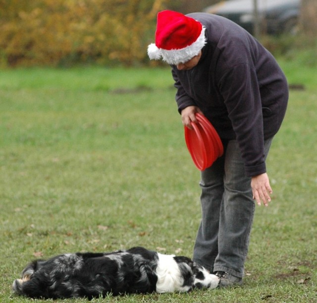 Bild 88 von 107  -  83 kB
